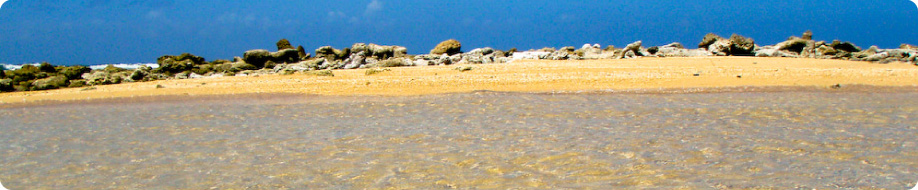 Apartments in Aruba