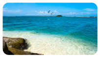 Clear waters in Aruba
