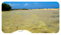 Natuur Aruba